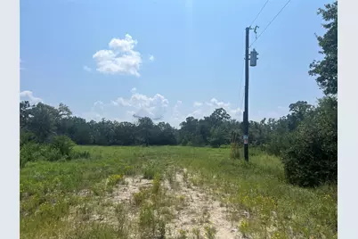 21564 Harrison Drive, Bedias, TX 77831 - Photo 5