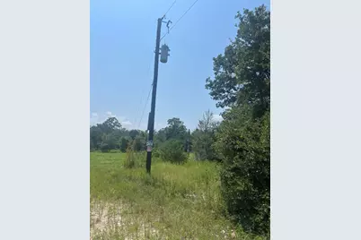 21564 Harrison Drive, Bedias, TX 77831 - Photo 9