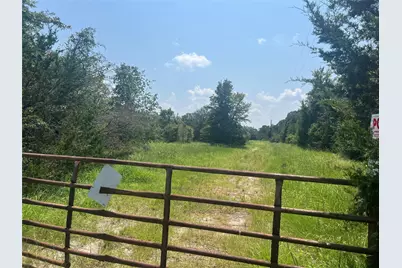 21564 Harrison Drive, Bedias, TX 77831 - Photo 3