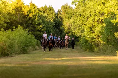 35 Sunlit Song Lane, Tomball, TX 77377 - Photo 3