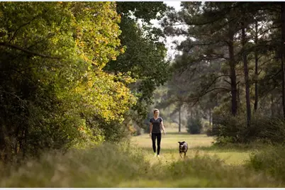 35 Sunlit Song Lane, Tomball, TX 77377 - Photo 7