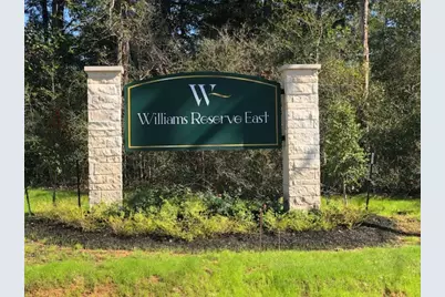 16125 William Ross Way, Conroe, TX 77303 - Photo 29