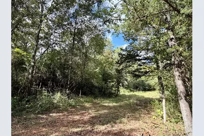 13 Ac Pr 2110, Centerville, TX 75833 - Photo 13