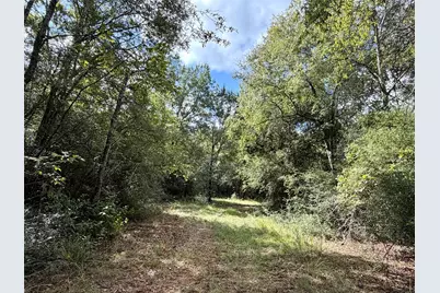 13 Ac Pr 2110, Centerville, TX 75833 - Photo 7