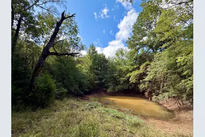 13 Ac Pr 2110, Centerville, TX 75833 - Photo 5