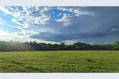 18155 Wellmann Road, Washington, TX 77880 - Photo 15