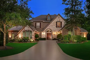 3 Player Vista, The Woodlands, TX 77382 - Photo 1