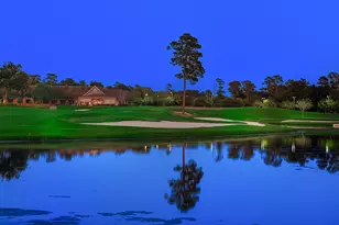 3 Player Vista, The Woodlands, TX 77382 - Photo 39