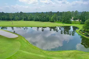 3 Player Vista, The Woodlands, TX 77382 - Photo 45