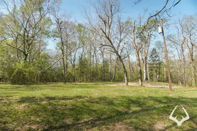 4804 County Road 3900, Colmesneil, TX 75938 - Photo 19