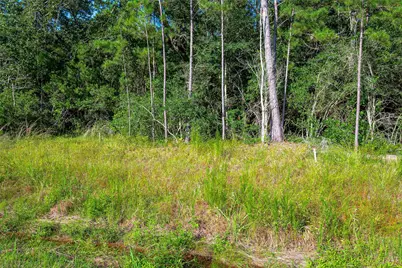 102 Eagle Run Road, Willis, TX 77378 - Photo 5