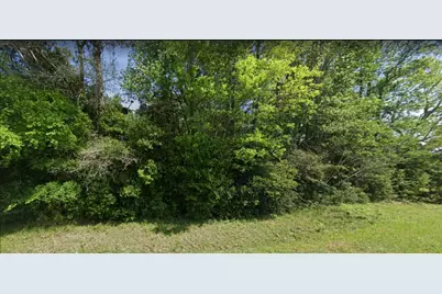 0 Johnnie Cash Road, Livingston, TX 77351 - Photo 3
