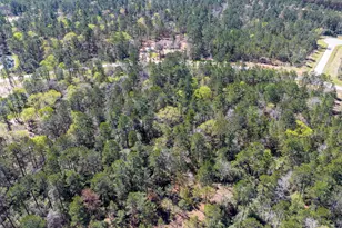 15628 Wood Grv Wy, Willis, TX 77378 - Photo 9