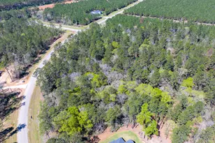 15628 Wood Grv Wy, Willis, TX 77378 - Photo 11