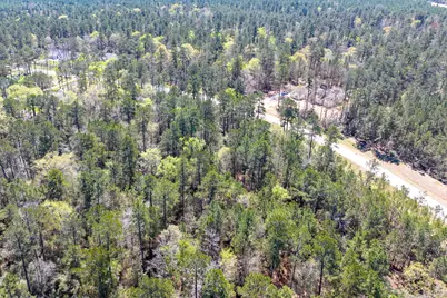 15628 Wood Grove Way, Willis, TX 77378 - Photo 17