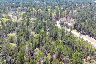 15628 Wood Grv Wy, Willis, TX 77378 - Photo 17