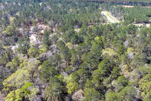 15628 Wood Grv Wy, Willis, TX 77378 - Photo 19