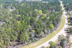 15628 Wood Grv Wy, Willis, TX 77378 - Photo 15