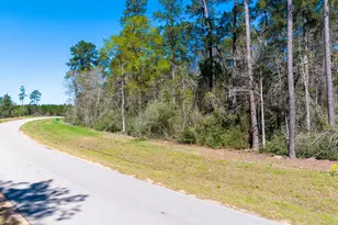 15628 Wood Grv Wy, Willis, TX 77378 - Photo 23