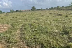 1010 County Road 595 Dr, Angleton, TX 77515 - Photo 1
