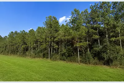 12684 Oak Barrel Road, Willis, TX 77378 - Photo 3
