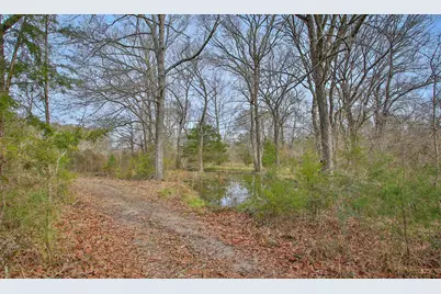 495 Pinecrest Drive, Point Blank, TX 77364 - Photo 21