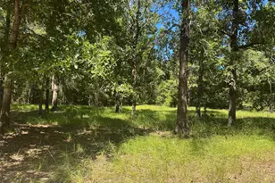 390 Pr 5200, Kennard, TX 75847 - Photo 11