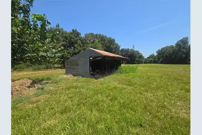 817 Masonic Oak Drive, Brazoria, TX 77422 - Photo 27