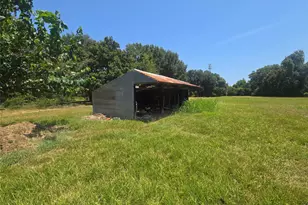 817 Masonic Oak Dr, Brazoria, TX 77422 - Photo 27