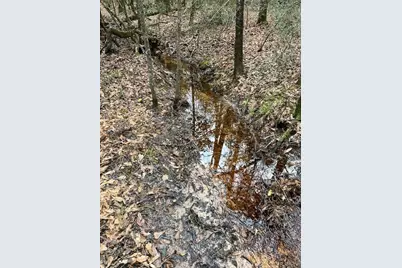 Hall Survey, Colmesneil, TX 75938 - Photo 7