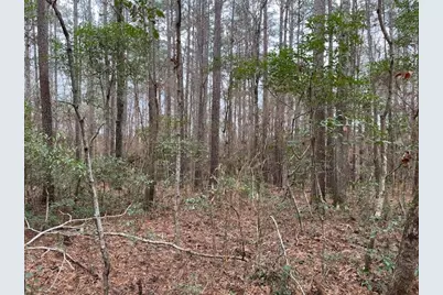 Hall Survey, Colmesneil, TX 75938 - Photo 15