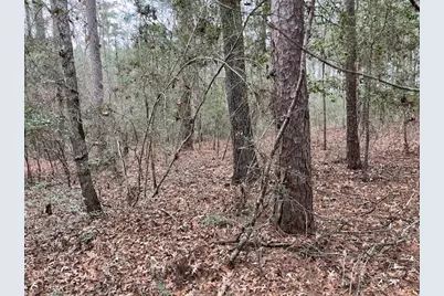 Hall Survey, Colmesneil, TX 75938 - Photo 9