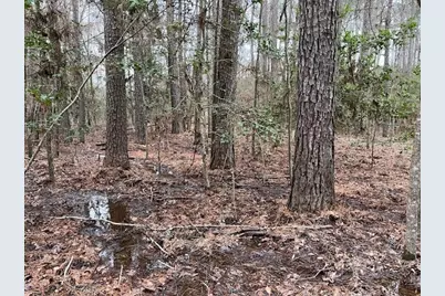 Hall Survey, Colmesneil, TX 75938 - Photo 13