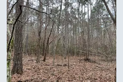 Hall Survey, Colmesneil, TX 75938 - Photo 23