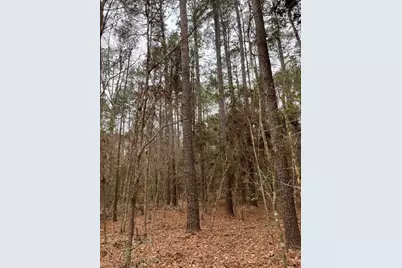 Hall Survey, Colmesneil, TX 75938 - Photo 17