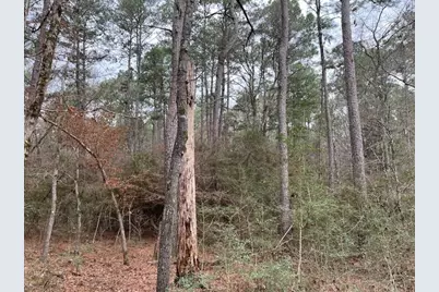 Hall Survey, Colmesneil, TX 75938 - Photo 11