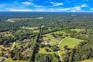 591 Hay Meadow Ln, Shepherd, TX 77371 - Photo 29