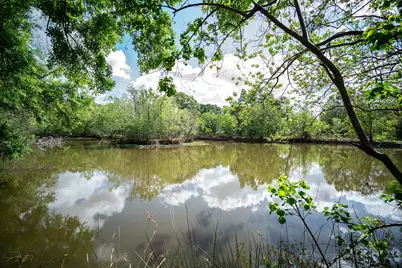 1930 Cartwright Road, Missouri City, TX 77489 - Photo 5