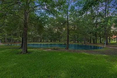205 Mohawk Lane, Wallisville, TX 77597 - Photo 35