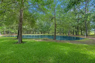 205 Mohawk Ln, Wallisville, TX 77597 - Photo 31