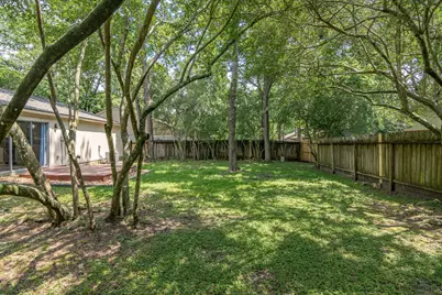6 Basal Briar Court, The Woodlands, TX 77381 - Photo 29