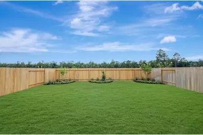 22746 Kaelynn Street, New Caney, TX 77357 - Photo 5