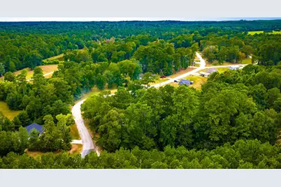 Tbd Forest Drive, Livingston, TX 77351 - Photo 3