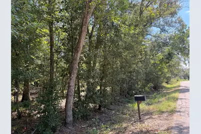 20687 Live Oak Drive, Damon, TX 77430 - Photo 3