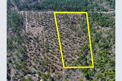 1 Boontown Road, Trinity, TX 75845 - Photo 11