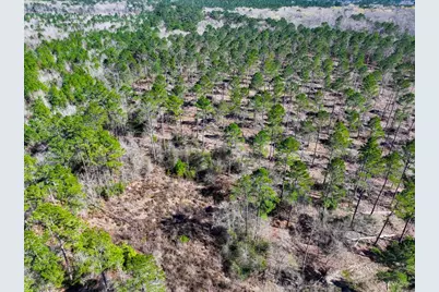 1 Boontown Road, Trinity, TX 75845 - Photo 3