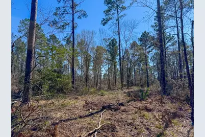 1 Boontown Road, Trinity, TX 75845 - Photo 5