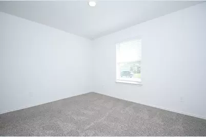 24726 Majestic Cone Lane, Magnolia, TX 77355 - Photo 13