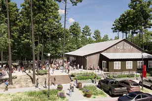 11463 Billy Bobs St, Montgomery, TX 77316 - Photo 17