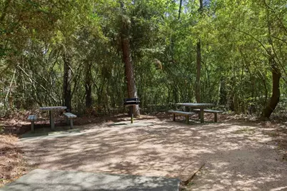 68 E Sandalbranch Circle, The Woodlands, TX 77382 - Photo 47